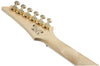 Guitarra Electrica Ibanez Grg220Pa-Transparent Brown Purple Burst - The Music Site