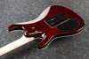 Guitarra Electrica Ibanez Sa260Fm-Transparent Gray Burst - The Music Site