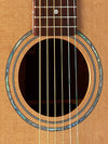 Guitarra Acustica Alhambra W-100B Gz/Lm Folk