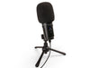 Microfono Zoom Audifono Zum-2Pmp - The Music Site