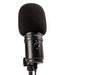 Microfono Zoom Audifono Zum-2Pmp - The Music Site