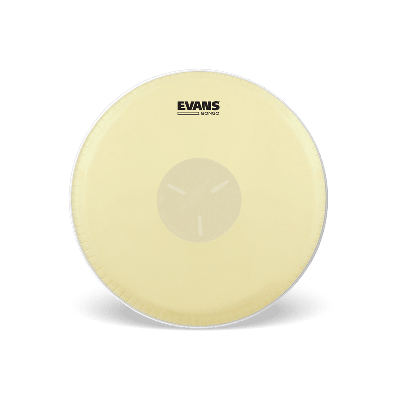 Parche Evans De Bongo Eb07 7"1/4 - The Music Site