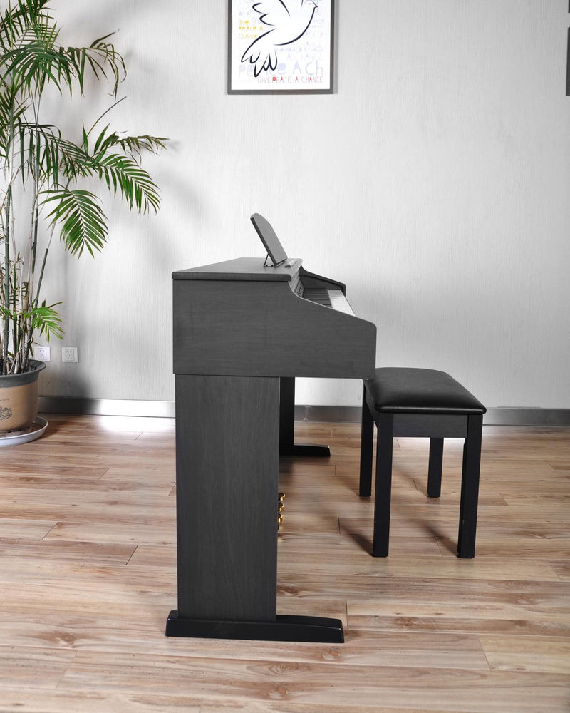 Piano Digital Artesia Dp-3+ Rw - The Music Site