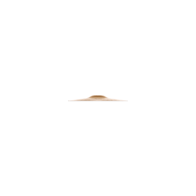 Platillo Zildjian Ilh10S De 10 Splash - The Music Site