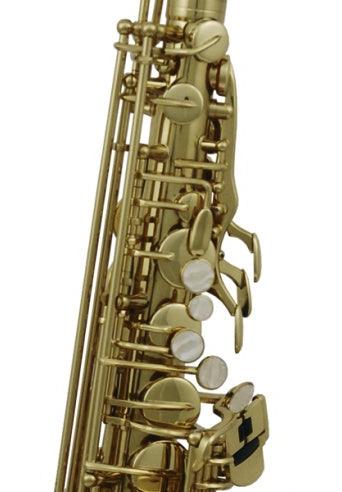 Saxofon Alto Roy Benson As-202 - The Music Site