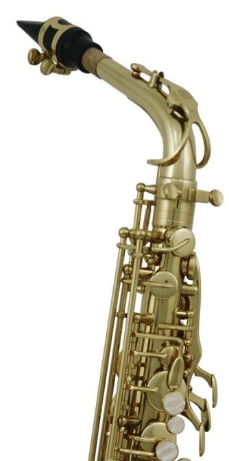 Saxofon Alto Roy Benson As-202 - The Music Site