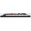 Sintetizador Arturia Minifreak 571001 - The Music Site