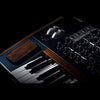 Sintetizador Arturia Polybrute 551001 - The Music Site