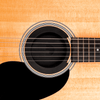 Tapa Boquilla D Addario Guitarra Pw-Sh-01 - The Music Site