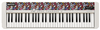 Teclado Casio Ct-S1 Fh Con Adaptador - The Music Site