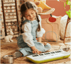 Teclado Casio Sa-50H2 Con Adaptador - The Music Site