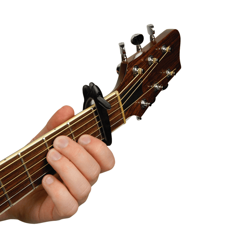 Transportador D Addario Pw-Cp-01 - The Music Site