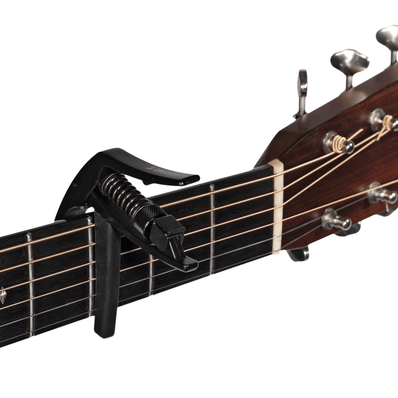Transportador D Addario Pw-Cp-10 - The Music Site