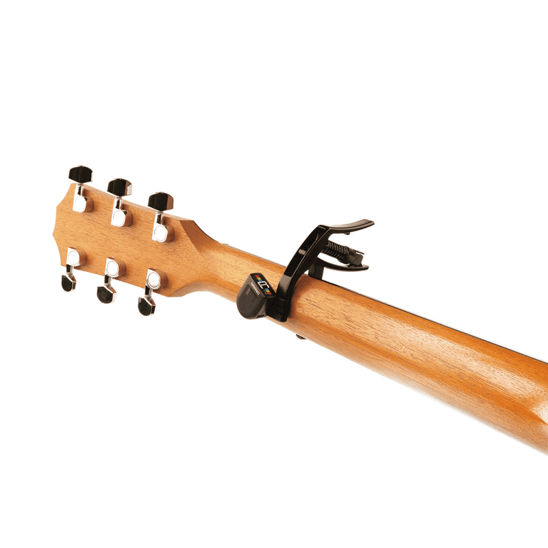 Transportador D Addario Pw-Cp-10 - The Music Site