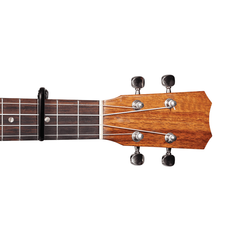 Transportador D Addario Pw-Cp-12 Ukulele - The Music Site