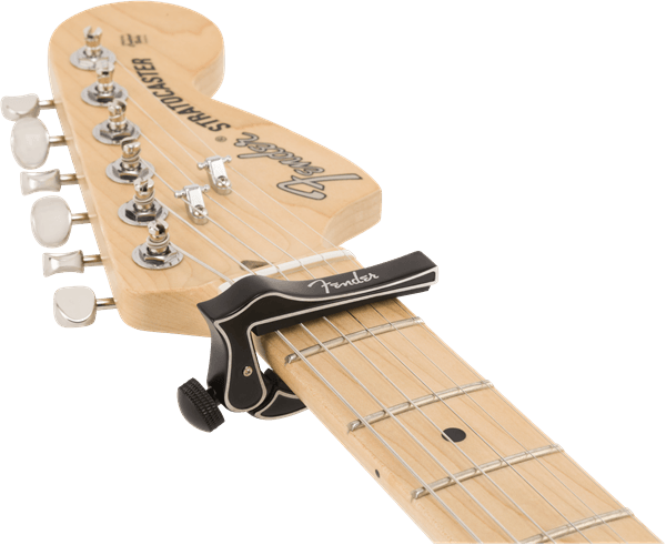 Transportador Fender Dragon 0990409000 - The Music Site