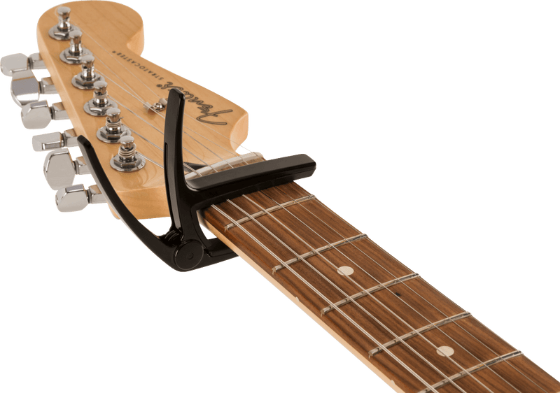 Transportador Fender Laurel 0990413001 - The Music Site
