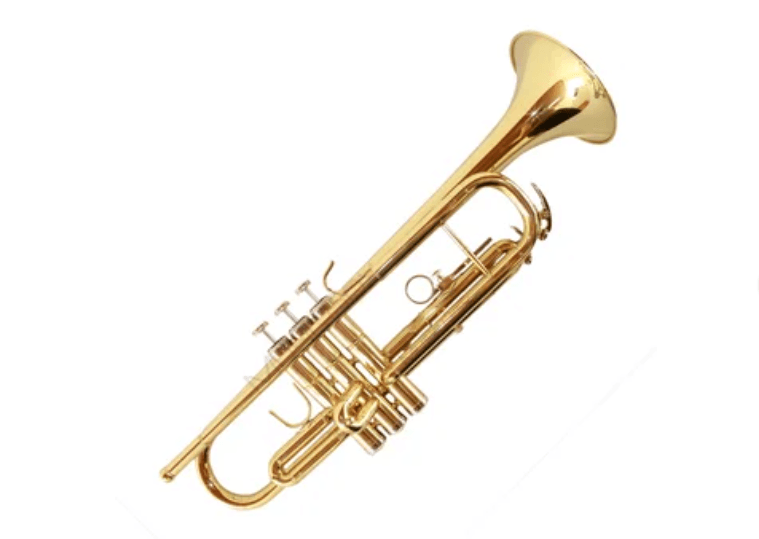 Trompeta Jinbao Jbtr-300L Dorada - The Music Site