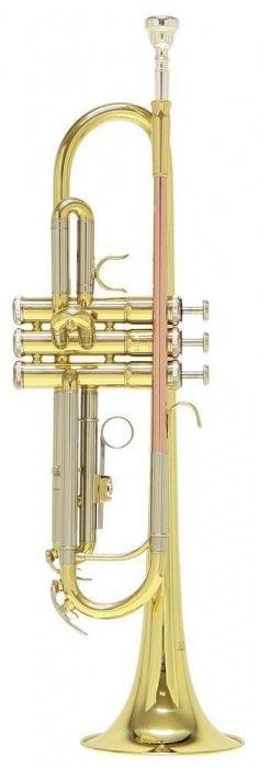 Trompeta Roy Benson Tr-202 - The Music Site