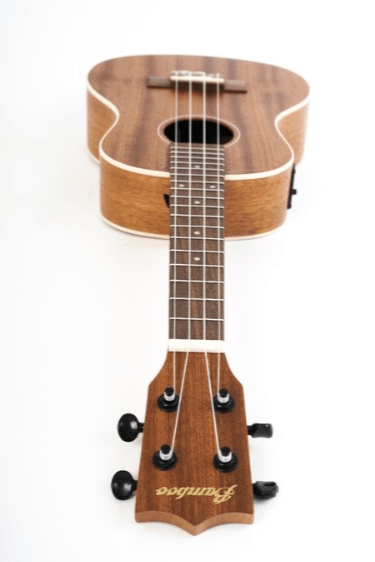 Ukulele Bamboo Electroa Concert U-23-Sapele-Q - The Music Site