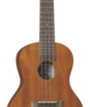 Ukulele Diamondhead Du-200C Concert - The Music Site