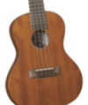 Ukulele Diamondhead Du-200C Concert - The Music Site