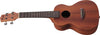 Ukulele Ibanez Concierto Ukc100-Open Pore Natural - The Music Site