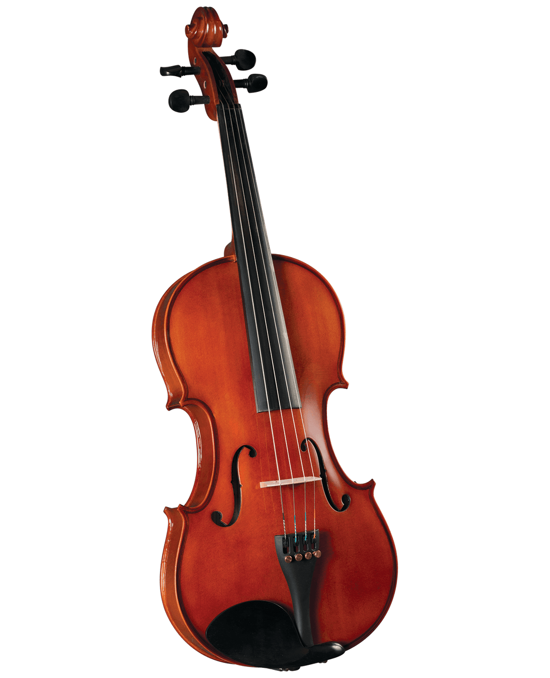 Viola Cervini Hva-100 14" - The Music Site