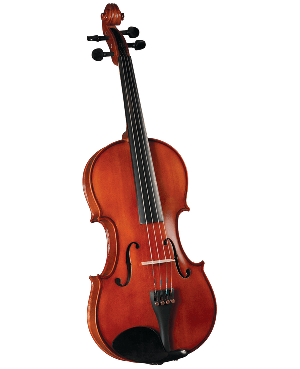 Viola Cervini Hva-100 14" - The Music Site