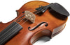 Violin Gewa Ps401623 1/2 - The Music Site